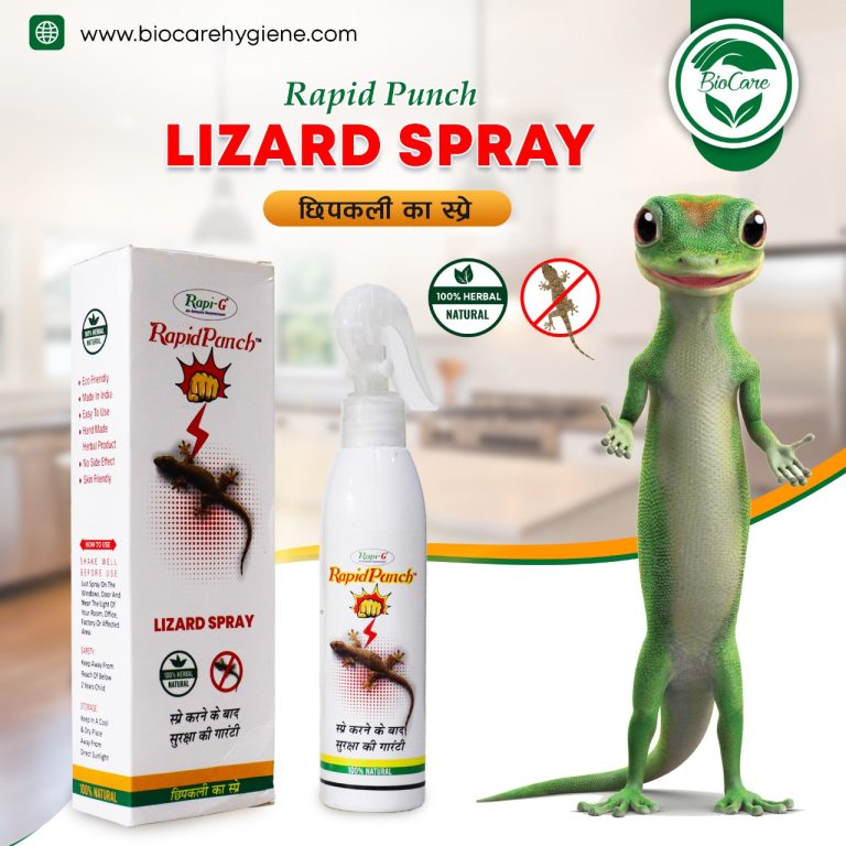 WhatsApp Image 2024-05-01 at 5.24.43 PM