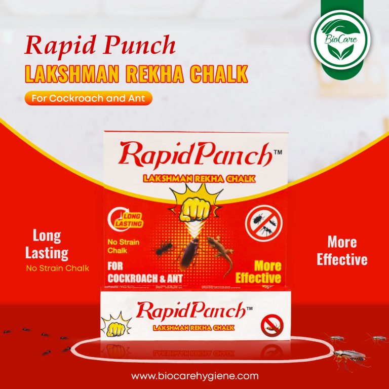 WhatsApp Image 2024-05-15 at 4.00.45 PM